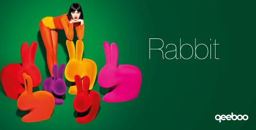 rabbit 1.jpg