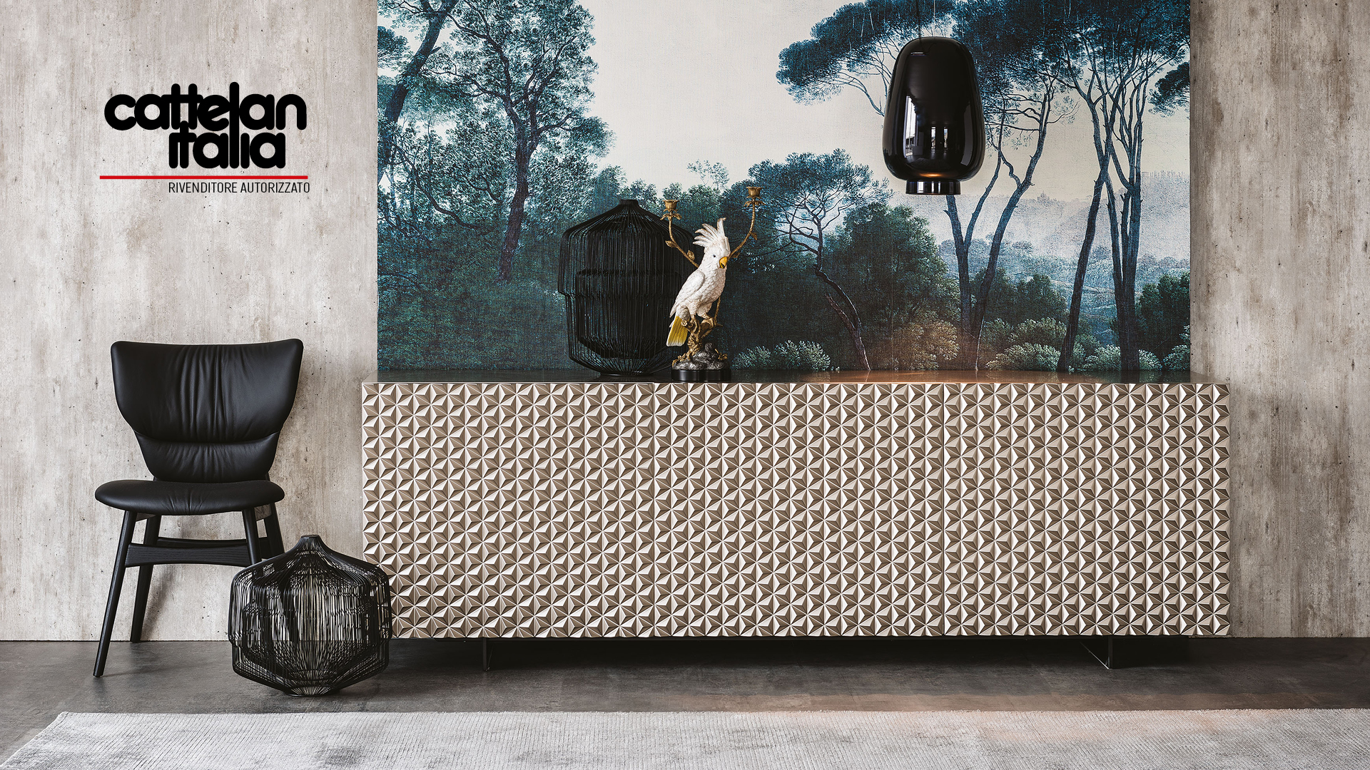 49A HOME SITO_catelan.jpg